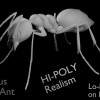 ant