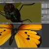 screen-butterfly